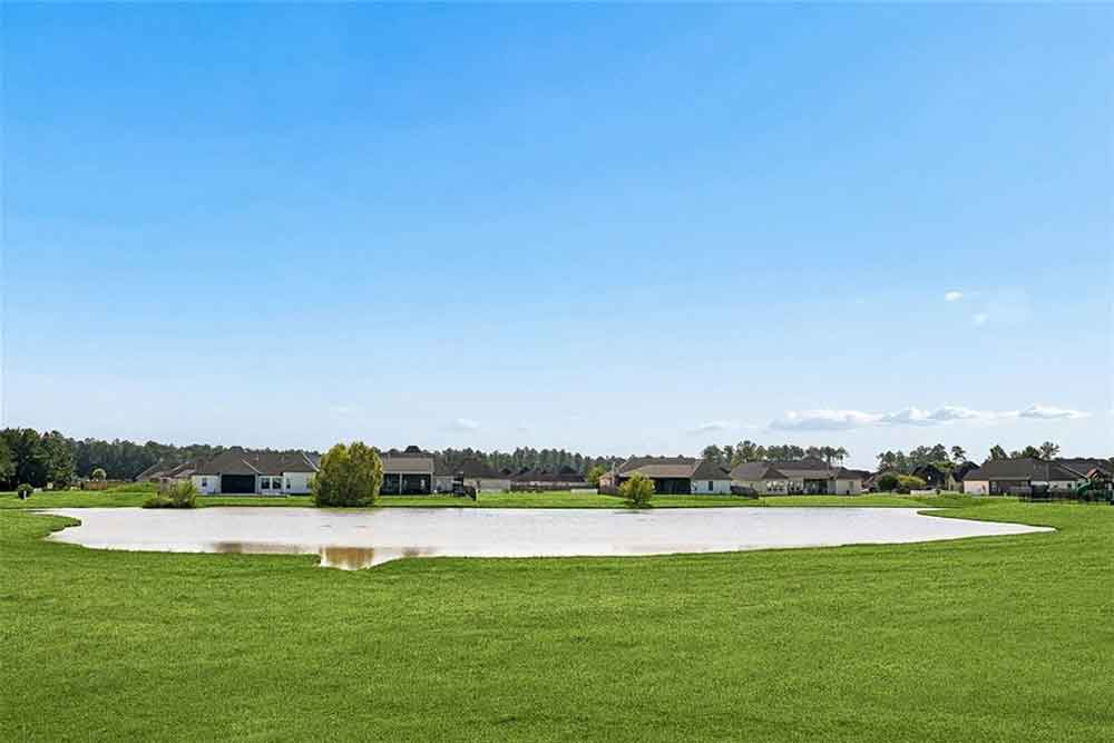 20-7013-Bald-Eagle-Backyard-Water-View