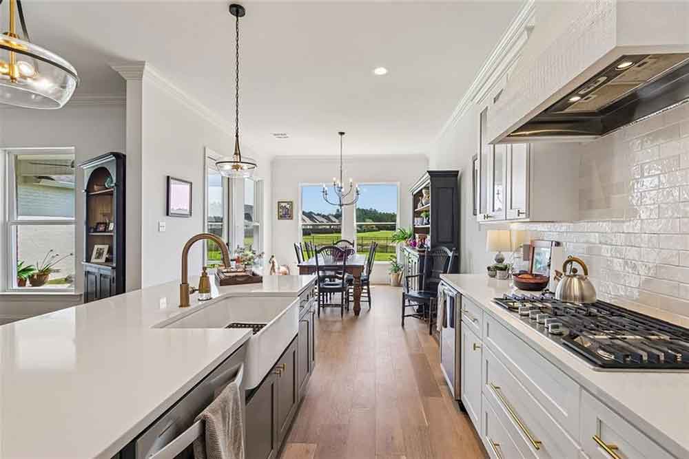 8-7013-Bald-Eagle-View-Through-Kitchen