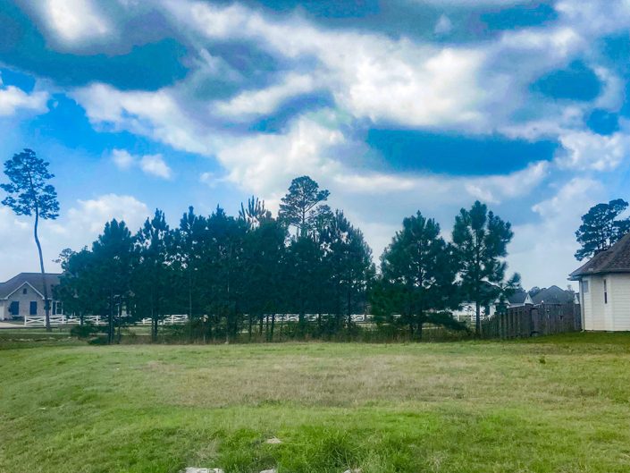 Lot 729, Heron Lake Neighborhood Bedico Creek Preserve