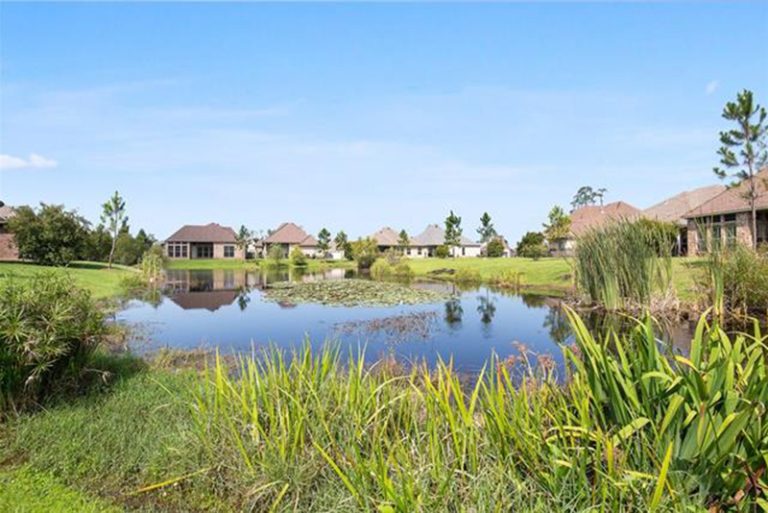 Home Bedico Creek Preserve