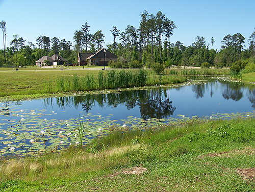 pond-lot-view